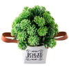 Vaso floreira de ferro com alça e planta permanente 7,5x8x19