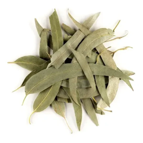 FOLHAS DE EUCALIPTO 100G