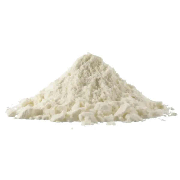 LEITE DE COCO EM PÓ 100% VEGANO 100G