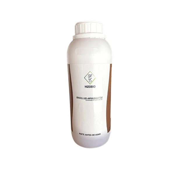 Bacillus aryabhattai 1l