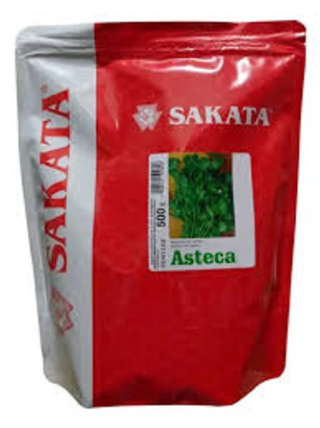 Coentro Asteca 500 g