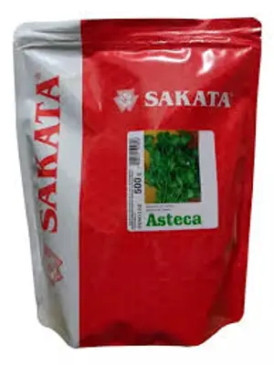 Coentro Asteca 500 g