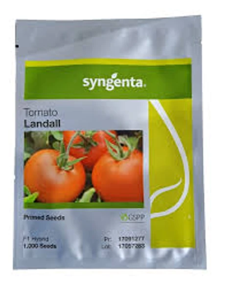 Semente De Tomate Híbrido Landall Syngenta 1000 Sementes