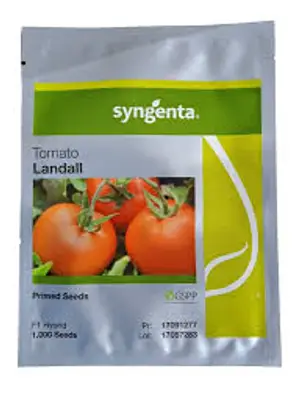 Semente De Tomate Híbrido Landall Syngenta 1000 Sementes