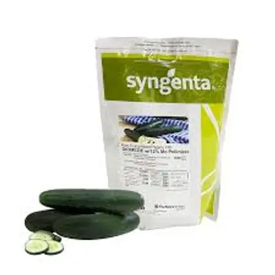 Semente de Pepino Híbrido Diomede Syngenta - 1000 Sementes