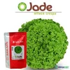 Sementes De Alface Crespa Jade - 7.500 sementes  Sakata