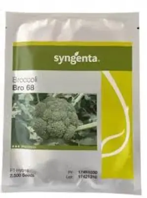 Sementes De Brócolis Híbrido Bro 68 2.500 Sementes Syngenta