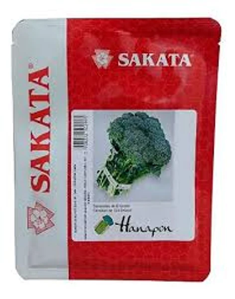 Sementes De Brócolis Ramoso Hanapon - 2.000 Sementes - Sakata