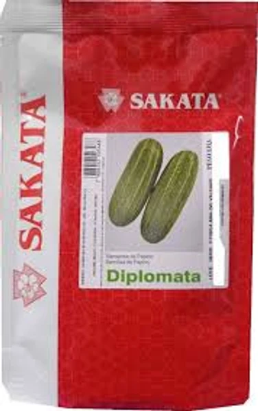 Sementes De Pepino Caipira Diplomata - 3.000 Sementes Sakata