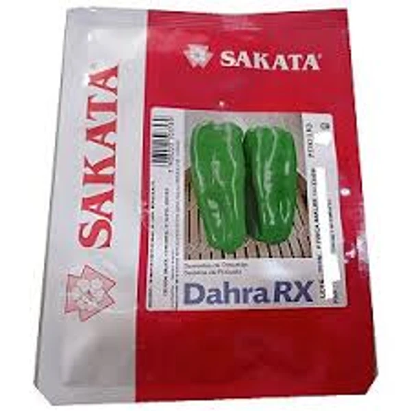 Sementes De Pimentão Dahra Rx - 1.000 Sementes  Sakata