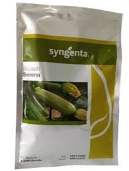 Sementes de Abobrinha Libanesa Squash CA4172 - Syngenta - 1.000 Sementes