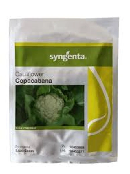 Sementes de Couve Flor Copacabana Sygenta 2500 Sementes