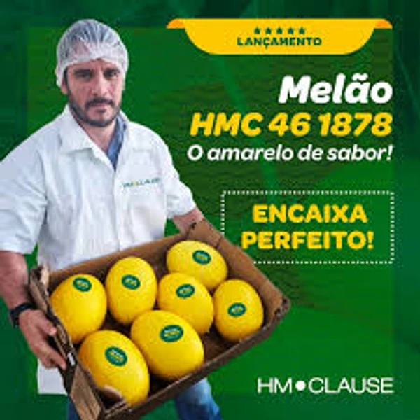 Sementes de Melão HMC 46 1878