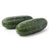 Sementes de Pepino Campeio 1.000 Sementes Sakata