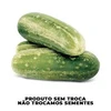 Sementes de Pepino  Safira 100 g - Sakata