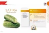 Sementes de Pepino  Safira 100 g - Sakata