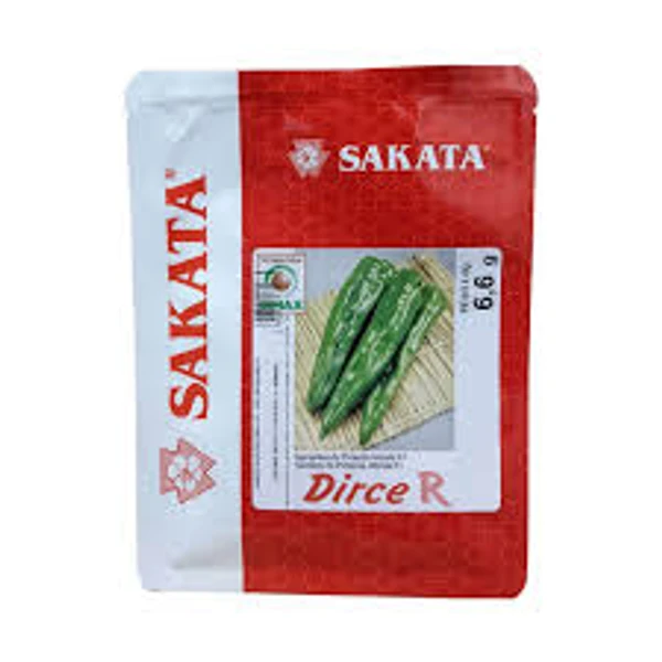 Sementes de Pimenta Hibrida F1 Dirce - 1.000 sementes - Sakata