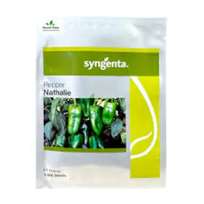 Sementes de Pimentão Híbrido Nathalie F1 Syngenta Env. C/ 1.000 Sementes