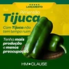 Sementes de Pimentão Tijuca - HM Clause - 1.000 Sementes