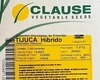Sementes de Pimentão Tijuca - HM Clause - 1.000 Sementes