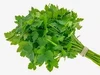 Sementes de Salsa Chácara 500 gramas - Sakata
