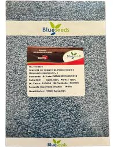 Sementes de Tomate BS P0034 10.000 Sementes