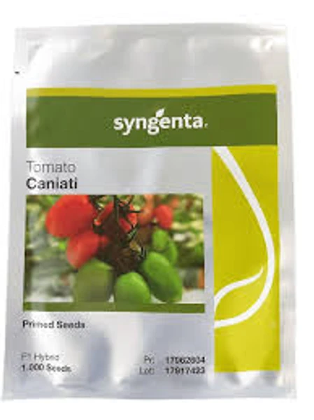 Sementes de Tomate Híbrido Caniati Syngenta 1000 Sementes
