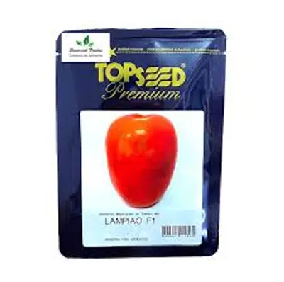 Sementes de Tomate Híbrido Lampiao - 1.000 Sementes