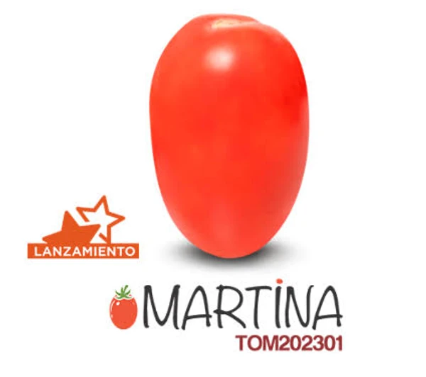 Sementes de Tomate Rasteiro Martina - 1.000 Sementes