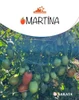 Sementes de Tomate Rasteiro Martina - 1.000 Sementes