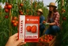 Sementres de Tomate Leblon  Hibrido Sakata 1.000 Sementes