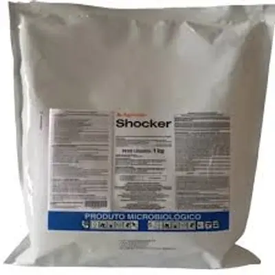 Shocker 1 KG