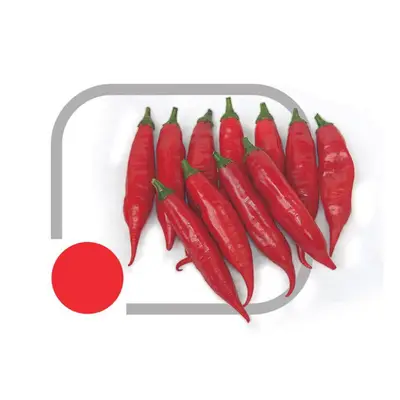 Sementes de Pimenta Mexicali Env. C/ 1.000 Sementes