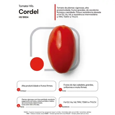 Sementes de Tomate Híbrido Cordel Env. C/ 1.000 Sementes