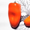 Mini pimentão Híbrido Akamu - Capsicum annuum - Sementes