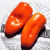Mini pimentão Híbrido Akamu - Capsicum annuum - Sementes