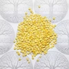 Mini pimentão Híbrido Akamu - Capsicum annuum - Sementes