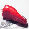 Mini pimentão Híbrido Kalani - Capsicum annuum - Sementes