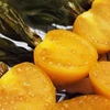 Physalis peruviana (Golden Berry) - Sementes