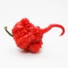 Pimenta Carolina reaper - Vermelha - Capsicum chinense - Sementes