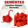 Pimenta Carolina reaper - Vermelha - Capsicum chinense - Sementes