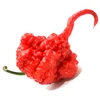 Pimenta Carolina reaper - Vermelha - Capsicum chinense - Sementes