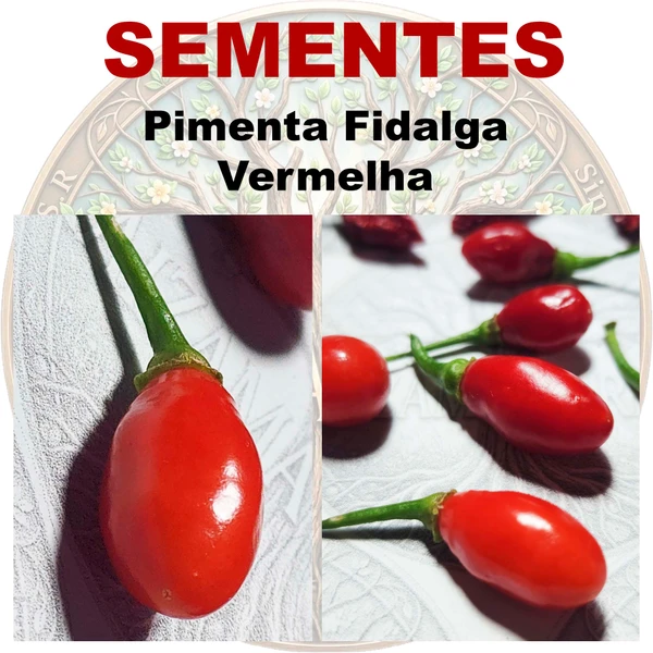 Pimenta Fidalga - Vermelha - Capsicum chinense - Sementes