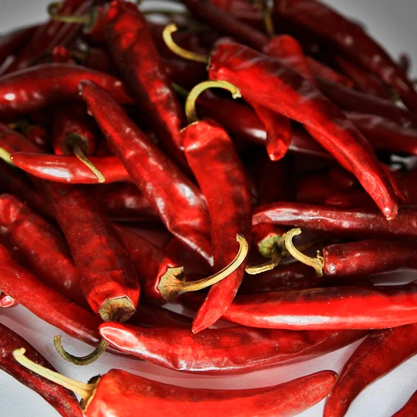 Pimenta Páprica Húngara Doce picante - Capsicum annuum - Sementes