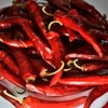 Pimenta Páprica Húngara Doce picante - Capsicum annuum - Sementes