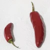 Pimenta Páprica Húngara Doce picante - Capsicum annuum - Sementes