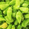 Pimenta de cheiro Acemira - Capsicum frutescens - Sementes