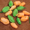 Pimenta de cheiro Acemira - Capsicum frutescens - Sementes
