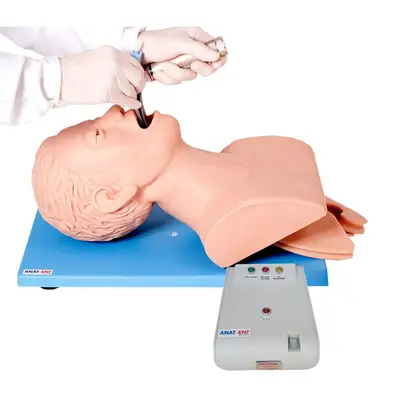 Cabeça, Pescoço Intubação Adulto Dispositivo Controle Simulador