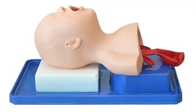 Cabeça de Bebê Intubação Avançado Simulador Médico